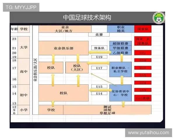 中国足球迎来新变革，联赛改革方案公布，未来五年规划揭秘